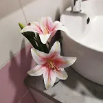As Apartman