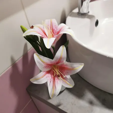 Bullevar Stup アパート